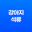 강아지 석류, 우리 강아지에게 정말 좋을까? 11