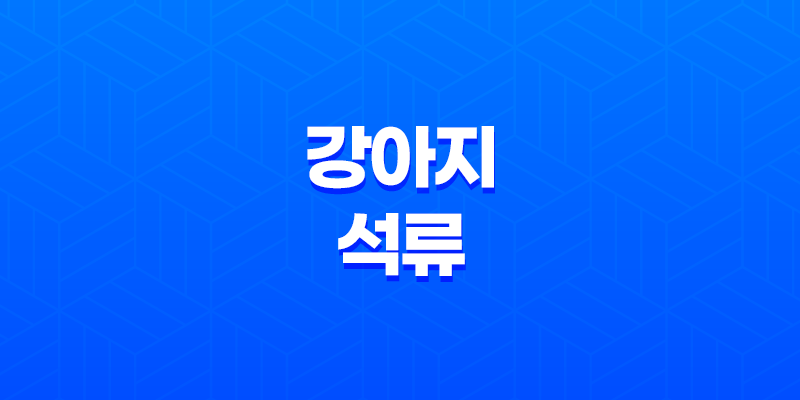 강아지 석류, 우리 강아지에게 정말 좋을까? 7