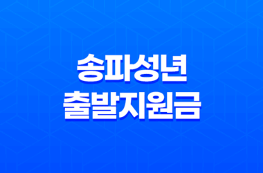 송파성년출발지원금 신청 및 사용처 - 송파구 청년지원금 안내 7