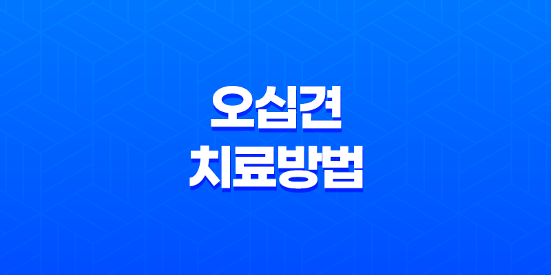 어깨 통증 극복을 위한 오십견 치료방법과 예방 전략 8 어깨 통증 극복을 위한 오십견 치료방법과 예방 전략 7