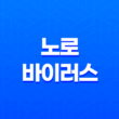 노로바이러스 감염 경로와 예방 방법 19