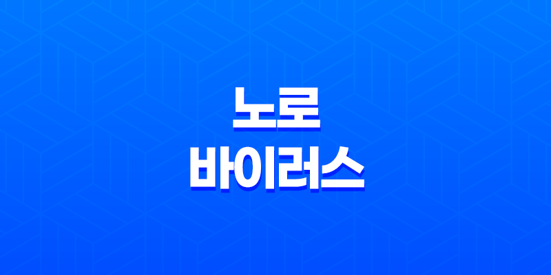 노로바이러스 감염 경로와 예방 방법 8 노로바이러스 감염 경로와 예방 방법 7