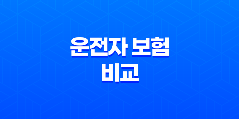 운전자 보험 비교 : 2025년 최신 정보와 가입 가이드 - 나에게 맞는 상품은? 8 운전자 보험 비교 : 2025년 최신 정보와 가입 가이드 - 나에게 맞는 상품은? 7