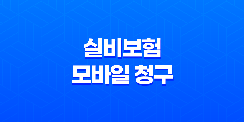 실비보험 모바일 청구, 앱으로 1분 만에 끝내는 초간단 방법(+ 2025년 최신 정보 완벽 정리) 8 실비보험 모바일 청구, 앱으로 1분 만에 끝내는 초간단 방법(+ 2025년 최신 정보 완벽 정리) 7