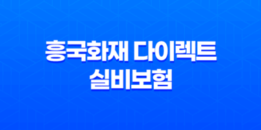 흥국화재 다이렉트 실비보험 가입방법과 보장내용 알아보기 31