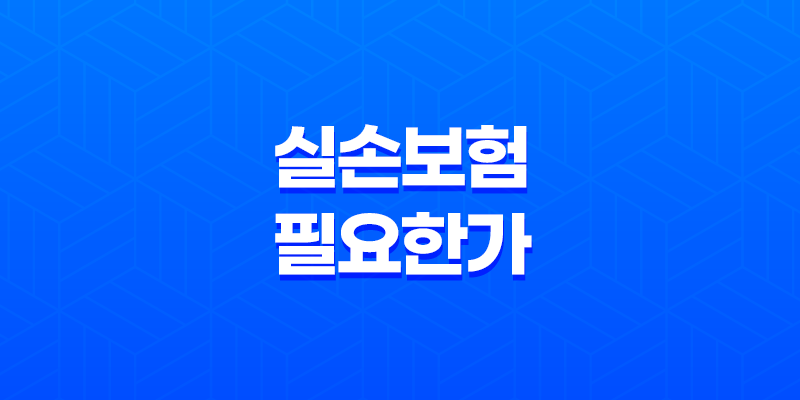 실손 보험 필요한가 - 2025년 알아야 할 7가지 진실 8 실손 보험 필요한가 - 2025년 알아야 할 7가지 진실 7