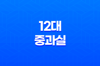 12대 중과실 사고 시 운전자 보험으로 보장받는 방법 19