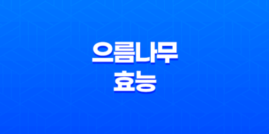 으름나무 효능과 다양한 이점(+ 복용방법 및 주의사항) 51