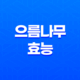 으름나무 효능과 다양한 이점(+ 복용방법 및 주의사항) 31