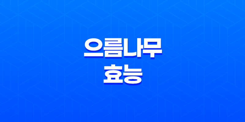 으름나무 효능과 다양한 이점(+ 복용방법 및 주의사항) 8 으름나무 효능과 다양한 이점(+ 복용방법 및 주의사항) 7