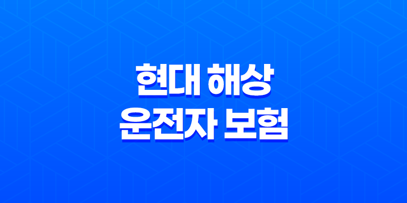 현대 해상 운전자 보험(+ 가입 전 꼭 알아야 할 7가지 꿀팁) 8 현대 해상 운전자 보험(+ 가입 전 꼭 알아야 할 7가지 꿀팁) 7