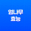 엄나무의 다양한 효능과 활용법 33