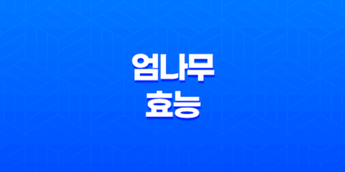 엄나무의 다양한 효능과 활용법 83