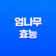 엄나무의 다양한 효능과 활용법 33