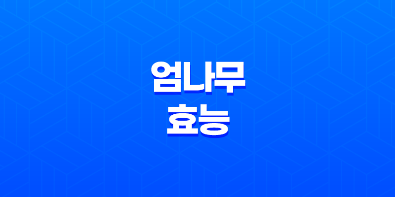 엄나무의 다양한 효능과 활용법 8 엄나무의 다양한 효능과 활용법 7