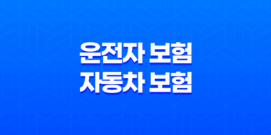 2025년 알아야 할 운전자 보험 자동차 보험 - 핵심 비교 분석과 현명한 선택 가이드 25