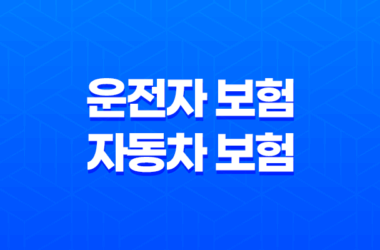 2025년 알아야 할 운전자 보험 자동차 보험 - 핵심 비교 분석과 현명한 선택 가이드 7