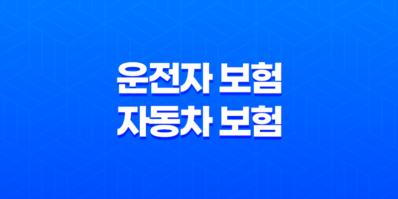 2025년 알아야 할 운전자 보험 자동차 보험 - 핵심 비교 분석과 현명한 선택 가이드 7