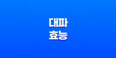 대파의 놀라운 효능(+ 10가지 효과와 보관법) 43