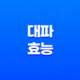 대파의 놀라운 효능(+ 10가지 효과와 보관법) 29