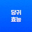당귀의 효능 7가지와 부작용 31