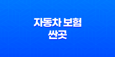 자동차 보험 싼곳(+ 5가지 방법으로 저렴한 보험 찾기) 17