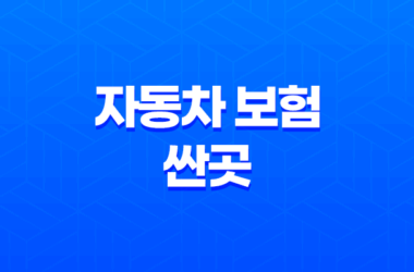 자동차 보험 싼곳(+ 5가지 방법으로 저렴한 보험 찾기) 13