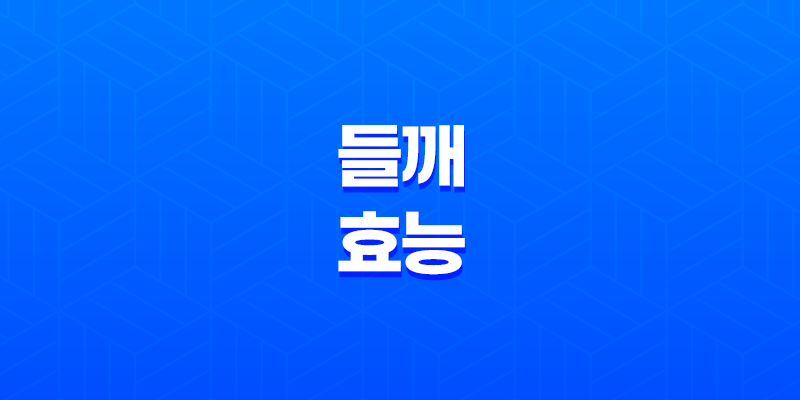들깨의 놀라운 효능과 영양성분 8 들깨의 놀라운 효능과 영양성분 7