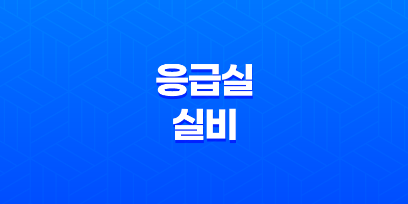 응급실 실비(+ 2025년 응급실 실비 청구, 완벽 가이드와 필요 서류 총정리) 8 응급실 실비(+ 2025년 응급실 실비 청구, 완벽 가이드와 필요 서류 총정리) 7