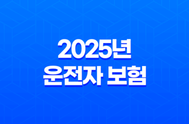 2025년 운전자 보험 가격 완전 분석 - 최적의 보험 찾기 19