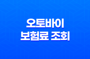 2025년 오토바이 보험료 조회 - 총정리 및 비교 (125cc, 300cc, 20대, 한달) 11