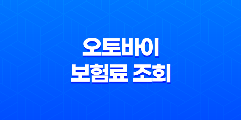 2025년 오토바이 보험료 조회 - 총정리 및 비교 (125cc, 300cc, 20대, 한달) 7