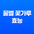 꿀벌 꽃가루의 효능과 부작용(+ 건강한 삶을 위한 슈퍼 푸드) 33