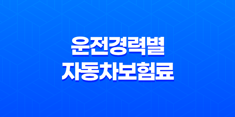운전경력별 자동차보험료 계산법 꿀팁 5가지 8 운전경력별 자동차보험료 계산법 꿀팁 5가지 7
