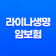 라이나생명 다이렉트 암보험(+ 종류, 가입 보장내용 및 가입 방법) 43