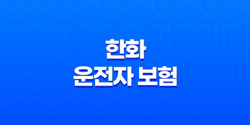 한화 운전자 보험 - 2025년 최신 정보 및 핵심 보장 분석 : 10가지 필수 가이드 7