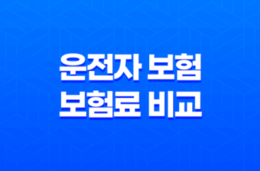 10가지 핵심으로 알아보는 운전자 보험 보험료 비교 및 현명한 가입 전략 11