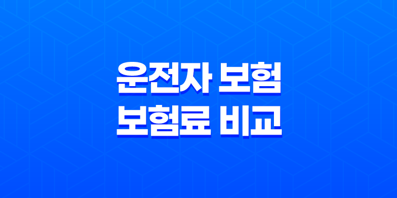 10가지 핵심으로 알아보는 운전자 보험 보험료 비교 및 현명한 가입 전략 8 10가지 핵심으로 알아보는 운전자 보험 보험료 비교 및 현명한 가입 전략 7
