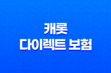 캐롯 다이렉트 보험 - 2025년 캐롯 다이렉트 보험 자동차보험료 캐롯보험 단점 심층 분석 11