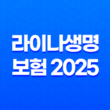 라이나생명 보험 2025(+ 고객센터, 보험금 청구, 해지, 상품 완벽 가이드) 13