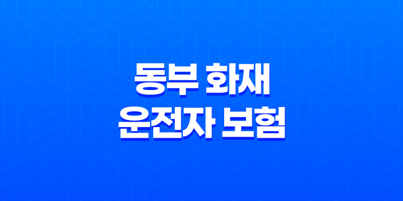 동부 화재 운전자 보험 - 7가지 핵심 정보 및 가입 혜택 완벽 가이드 8 동부 화재 운전자 보험 - 7가지 핵심 정보 및 가입 혜택 완벽 가이드 7
