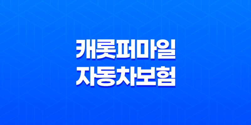 캐롯 퍼마일 자동차보험 단점 홈페이지 고객센터 전화번호 8 캐롯 퍼마일 자동차보험 단점 홈페이지 고객센터 전화번호 7