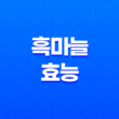 흑마늘 놀라운 효능과 부작용 25