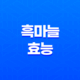 흑마늘 놀라운 효능과 부작용 25