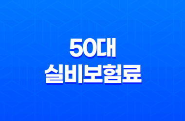 50대 실비보험료 평균, 2025년 최신 정보로 알아보는 현명한 선택 가이드 27