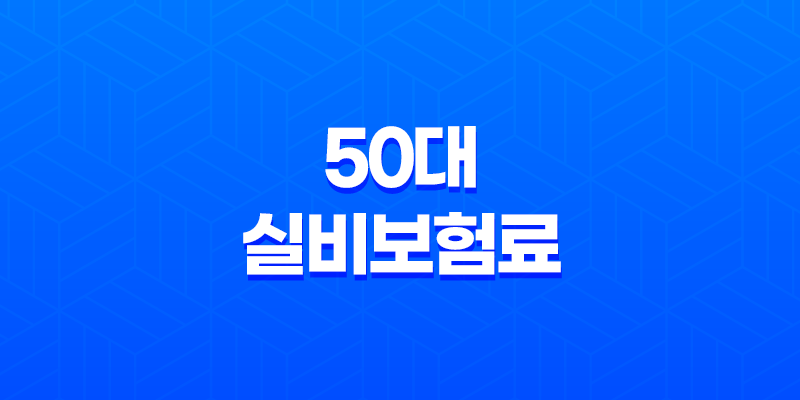 50대 실비보험료 평균, 2025년 최신 정보로 알아보는 현명한 선택 가이드 8 50대 실비보험료 평균, 2025년 최신 정보로 알아보는 현명한 선택 가이드 7