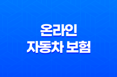온라인 자동차 보험 비교 가입(+ 2025년 꿀팁 대방출( 27