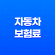 자동차 보험료 디시(+ 2025년 최신 정보와 나이별 보험료 절약 가이드) 13