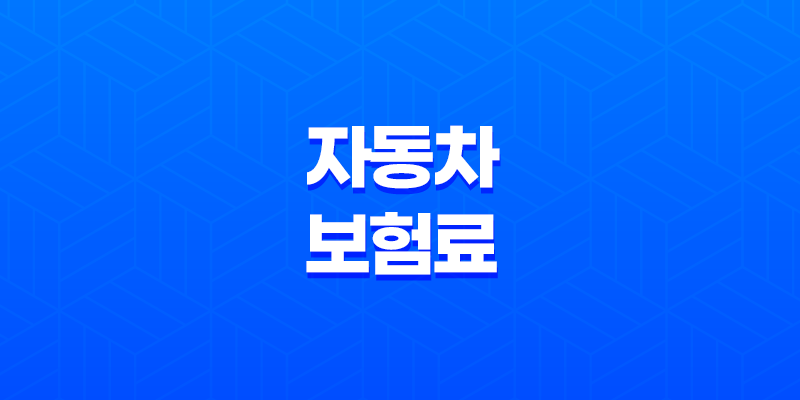 자동차 보험료 디시(+ 2025년 최신 정보와 나이별 보험료 절약 가이드) 7