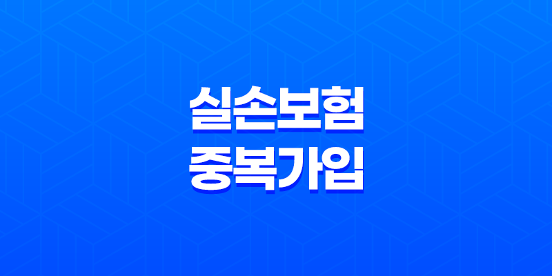 실손보험 중복 가입(+ 득일까? 독일까? 2025년 손해 안 보는 방법 완벽 분석) 8 실손보험 중복 가입(+ 득일까? 독일까? 2025년 손해 안 보는 방법 완벽 분석) 7